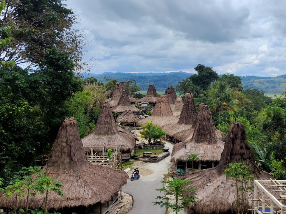 Sumba-birding